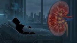 Ilustrasi penyakit TB Ginjal