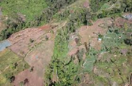 Hutan diwilayah TNKS yang terus tergerus. Kerinci kini terancam bencana