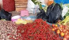 Harga cabai disejumlah pasar tradisional di Kerinci turun drastis