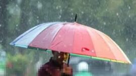 Mayoritas daerah dalam provinsi jambi diprediksi hujan ringan, berikut prakiraan cuaca jambi