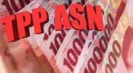 Ilustrasi TPP ASN Tebo. (Foto/Google)