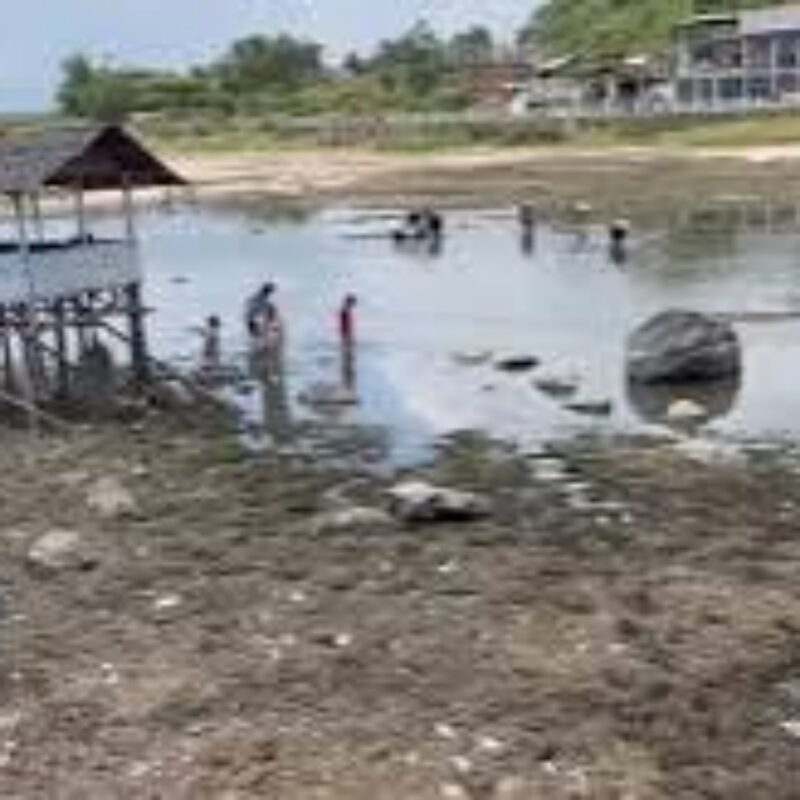 Kondisi Danau Kerinci yang airnya terus menyusut