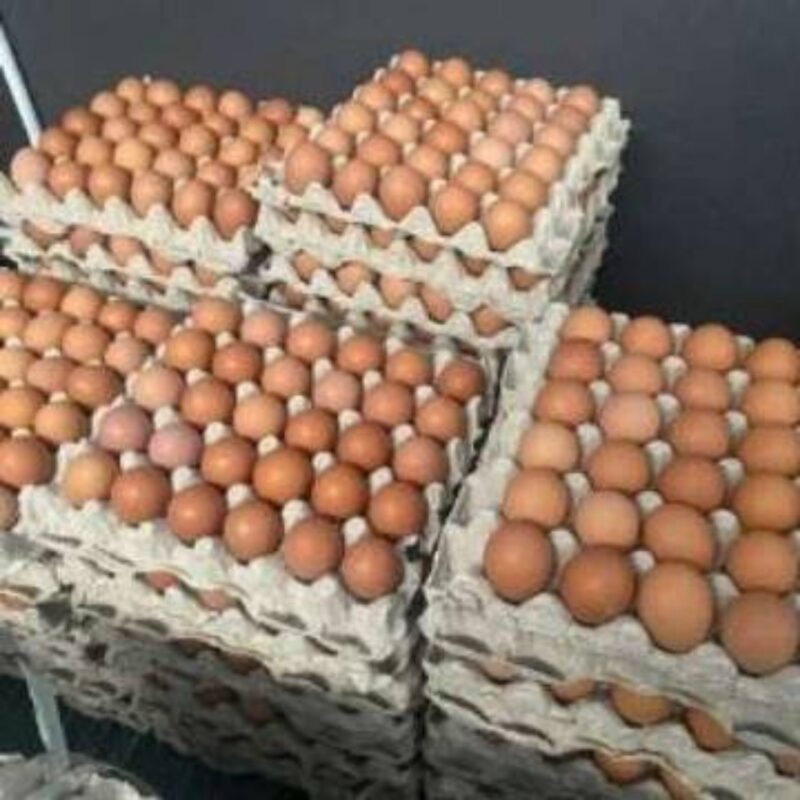 Harga telur ayam di Kerinci masih stabil jelang Ramadhan.