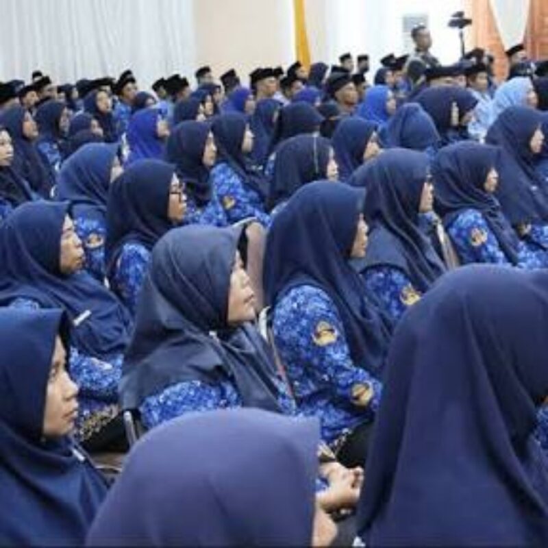 ASN Indonesia. (Sumber/Google)