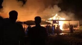 Terlihat sijago  merah melalp rumah warga di Desa Lambur Luar, Kecamatan Muara Sabak Timur, Kabupaten Tanjung Jabung Timur.