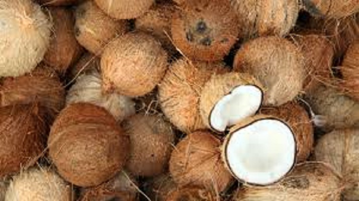 Harga Kelapa di Kerinci dan Sungai Penuh turun.