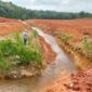 Duagaan pengalihan sungai di Rimbo Ulu disorot Walhi Jambi.