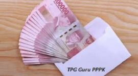 Ilustrasi TPG Guru PPPK belum cair