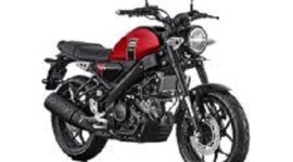 Varian baru Yamaha XSR 155. (Sumber/Google)