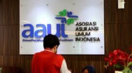 AAUI Indonesia. (Sumber/Google)