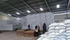 Tampak stok pangan di Bulog sungai penuh