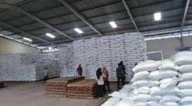 Tampak stok pangan di Bulog sungai penuh