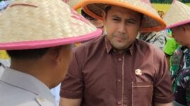 CREATOR: gd-jpeg v1.0 (using IJG JPEG v80), quality = 100?