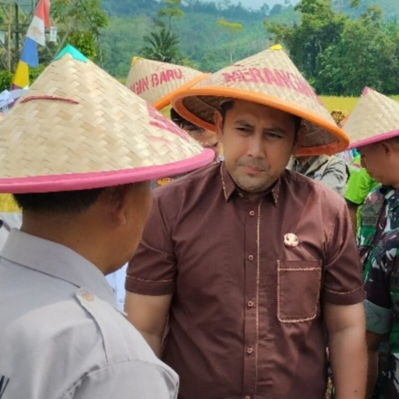 CREATOR: gd-jpeg v1.0 (using IJG JPEG v80), quality = 100?