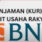 Tabel Angsuran, Syarat, dan Cara Pengajuan Pinjaman Modal Usaha Lengkap KUR BNI