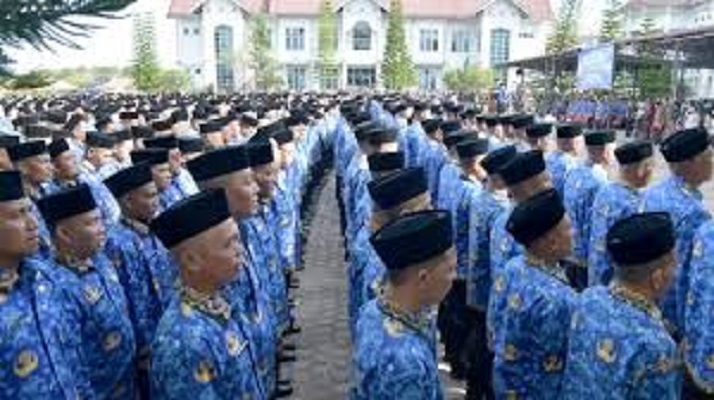 PPPK ditengah ancaman kebijakan nasional. (Sumber/Google)