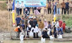 Al Haris & Alfin Tebar Ribuan Benih Ikan di Sungai Batang Merao
