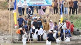Gubernur Jambi, H Alharis didampingi Walikota Sungai Penuh, Alfin saat gelar restoking ikan di sungai batang merao
