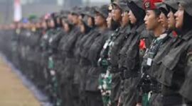 Ilustrasi rekruitmen SPPI Kemenhan untuk koperasi merah putih. (Sumber/Google)