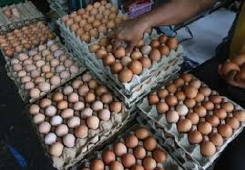 Harga telur di pasar tanjung bajure sungai penuh cenderung stabil