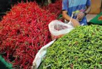 Harga cabai di Jambi merangkak naik