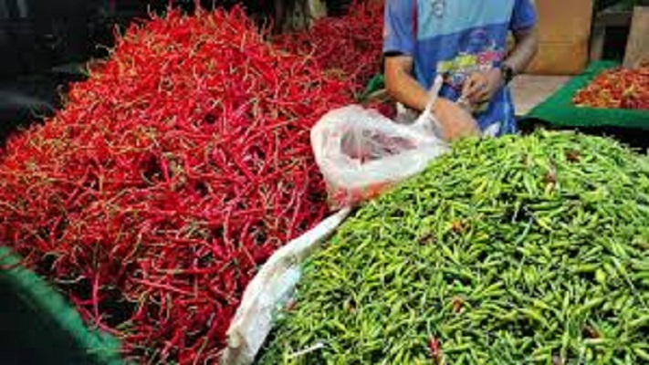 Harga cabai di Jambi merangkak naik