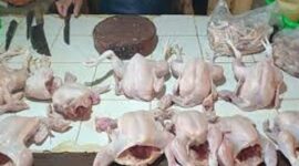 Jelang lebaran, harga daging ayam di Kerinci stabil