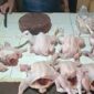 Jelang lebaran, harga daging ayam di Kerinci stabil