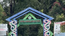 Objek Wisata Danau Kaco, Manjunto lempur