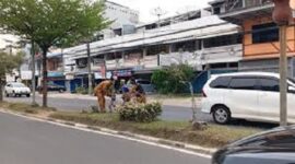 Aksi Kejar-kejaran Dinsos Kota Jambi amankan Gepeng yang keliaran di lampu merah.