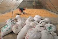 Polsek Tabir Ulu Fasilitasi Angkut 6 Ton Jagung Petani