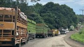 Kondisi jalan lintas timur jambi-palembang macet total