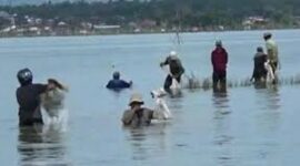 Aktivitas kelompok nelayan Kabupaten Kerinci, ditengah minimnya nggaran dari DKP Provinsi Jambi.