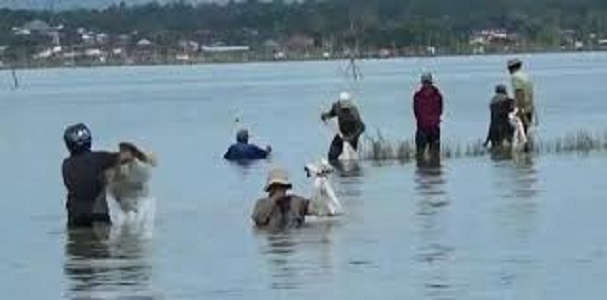 Aktivitas kelompok nelayan Kabupaten Kerinci, ditengah minimnya nggaran dari DKP Provinsi Jambi.