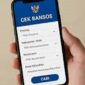 Cara cek Bansos melalui HP