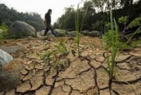 Ilustrasi cuaca kemarau ekstrim bakal terjang Indonesia, Jambi diminta waspada