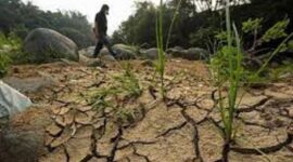 Ilustrasi cuaca kemarau ekstrim bakal terjang Indonesia, Jambi diminta waspada