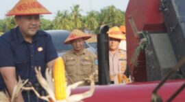 CREATOR: gd-jpeg v1.0 (using IJG JPEG v80), quality = 100?