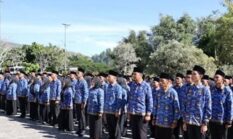 Update Terbaru Kontrak PPPK 2027! Tak Ada Seleksi Baru di Sungai Penuh