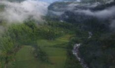 Perambahan Hutan TNKS Makin Mengkhawatirkan, Ribuan Hektare Berubah Jadi Lahan Garapan