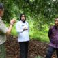 Perwakilan Kemenkum Jambi didampingi kadis DTHP Kerinci saat Identifikasi IG Manggis Kerinci