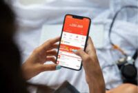 Penjelasan lengkap manfaat fitur Shopeepay