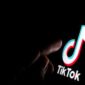 Ilustrasi cara Download Video TikTok Tanpa Watermark