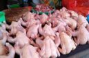 Harga Ayam potong di kerinci naik