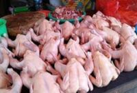 Harga Ayam potong di kerinci naik