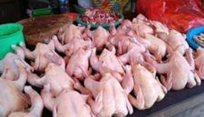 Harga Ayam potong di kerinci naik