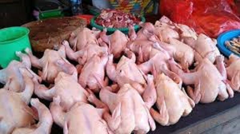Harga Ayam potong di kerinci naik