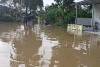 Kondisi banjir disejumlah daerah di jambi