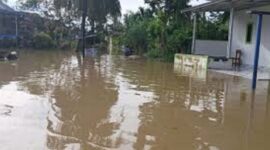 Kondisi banjir disejumlah daerah di jambi
