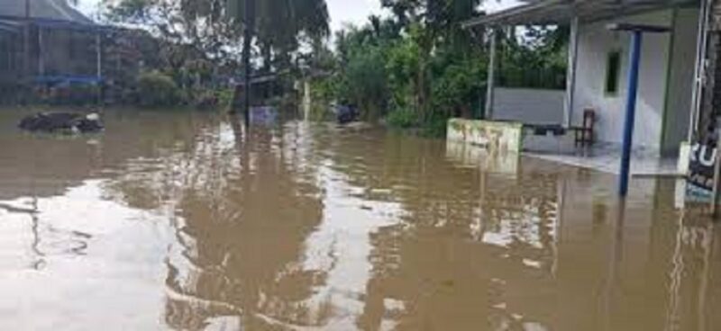 Kondisi banjir disejumlah daerah di jambi